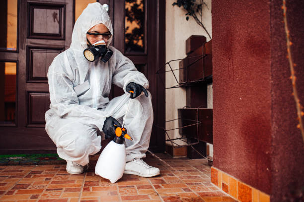Reliable Ant Control contractor in Chatham, IL by Nex Pest Control